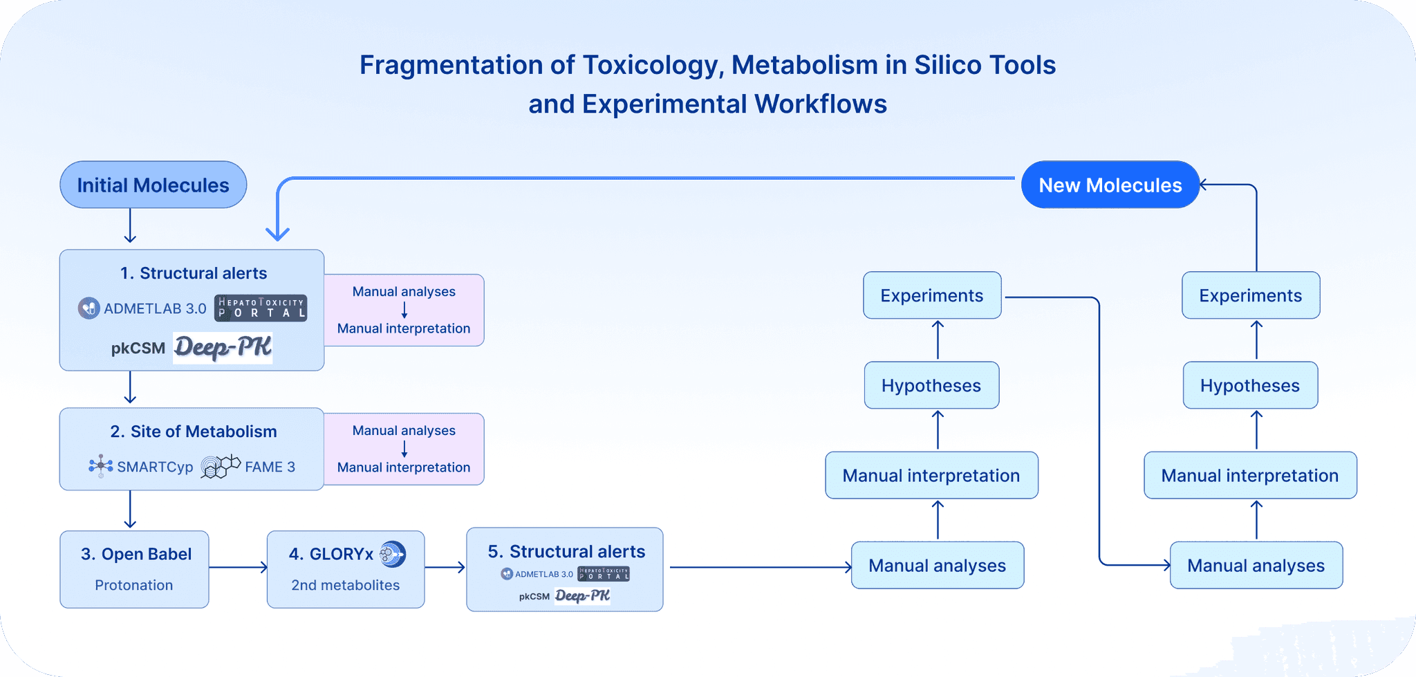 Beyond Targets: Building Safer Drugs with Integrated AI, Toxicology, and Experiment Loops