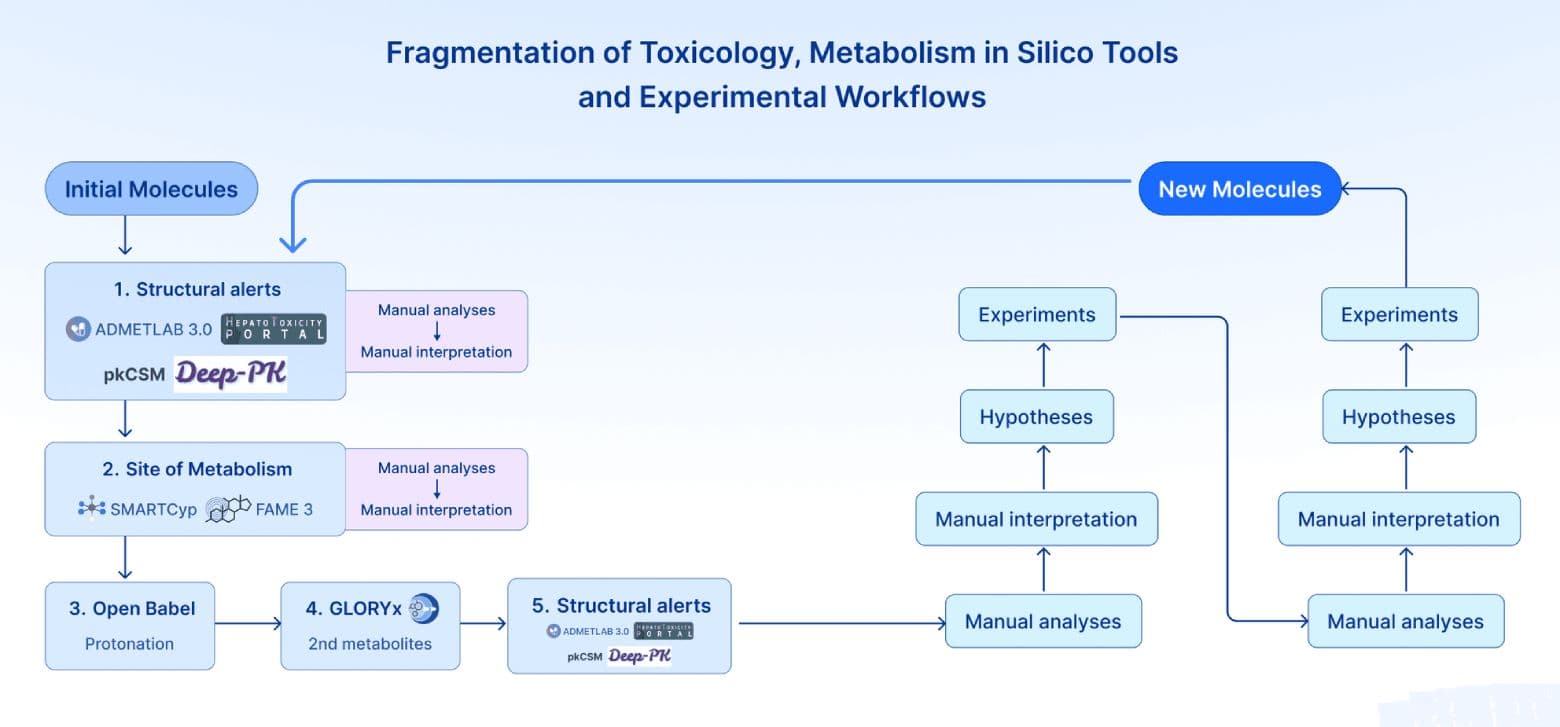 In Silico Toxicology: How AI Predicts Drug Safety Risks