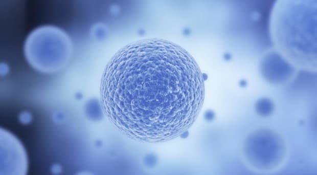 scRNA-seq Quality Control: 12 Processing Metrics Explained