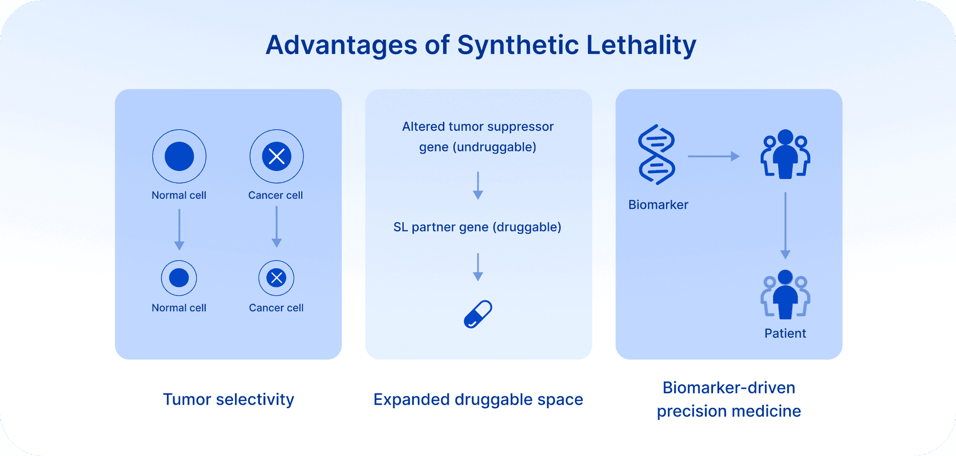 Toxicology compliance and safety standards