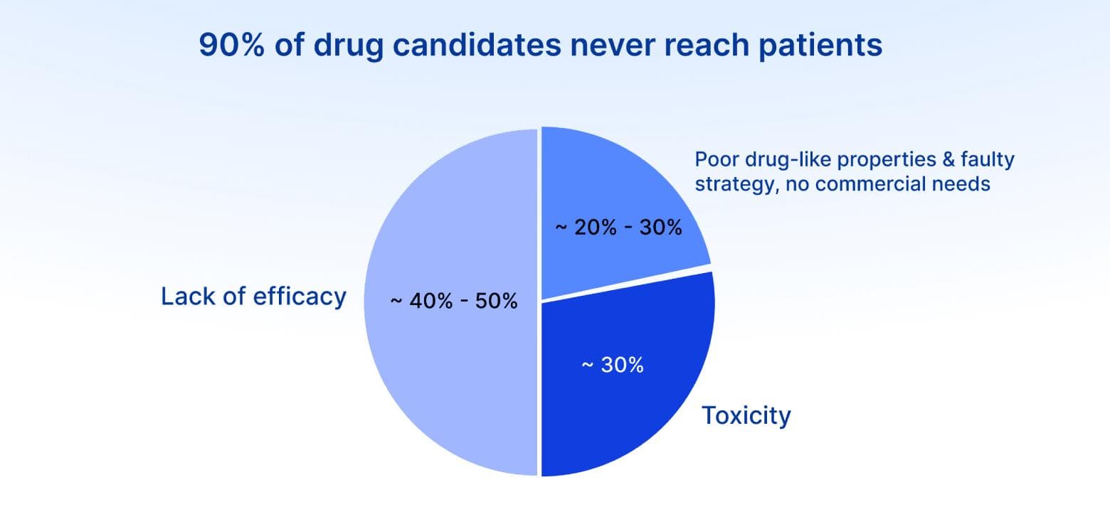 Toxicology experimental models overview
